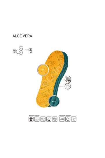 Coccine Aloe Vera gydomieji vidpadžiai 2