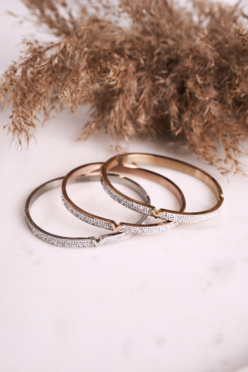 Plieninė apyrankė su kubinio cirkonio aukso Venera 2