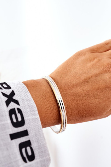 Plieninė apyrankė sidabrinė-auksinė