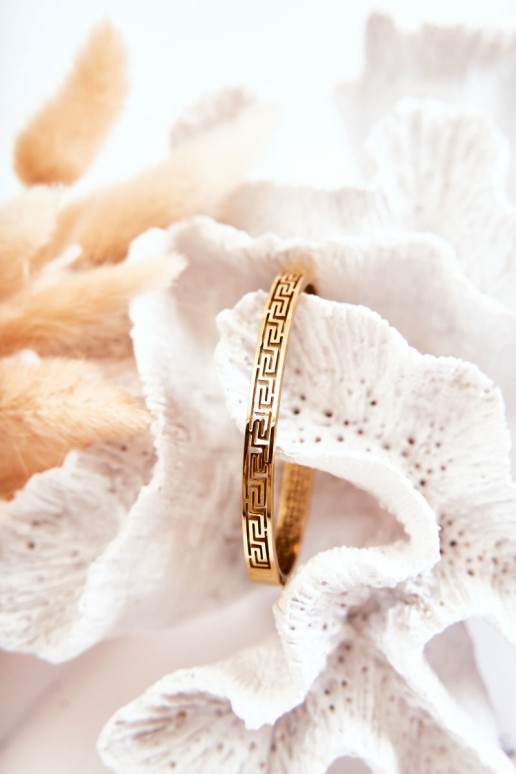 Moteriška plieninė apyrankė su užsegimu