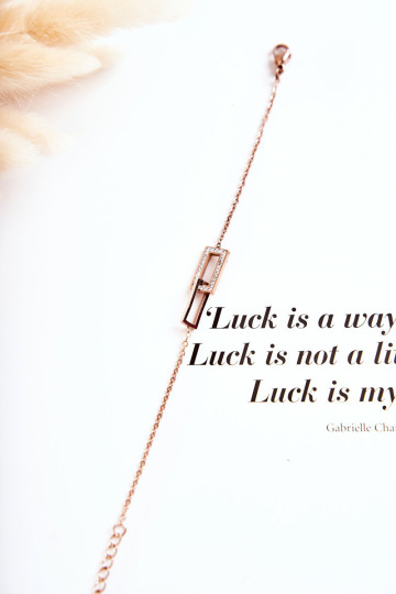 Moteriška apyrankė įžymybių iš plieno su kubinio cirkonio rožinio aukso spalvos 2