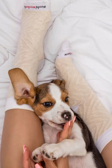 Rainbow Socks Sushi 1 Pair Butterfish 2