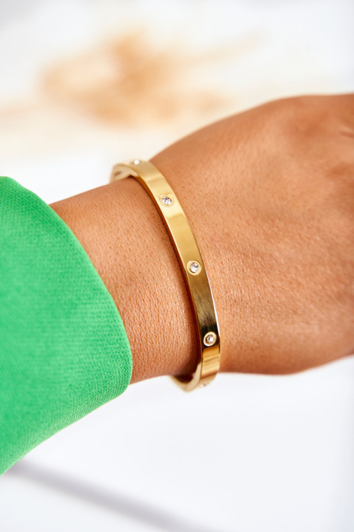 Plieninė apyrankė su kubiniu cirkonio aukso...