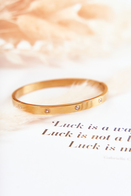 Plieninė apyrankė su kubiniu cirkonio aukso...