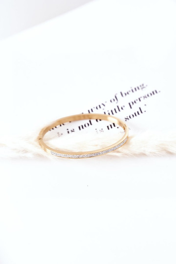 Plieninė apyrankė su kubiniu cirkonio auksu 2