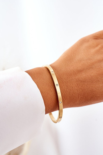 Plieninė apyrankė su kubiniu cirkonio auksu