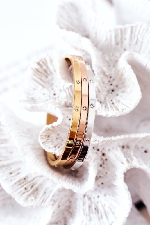 Plieninė apyrankė su kubiniu cirkonio auksu