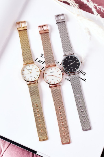 Laikrodis ant tinklinės apyrankės ERNEST sidabro