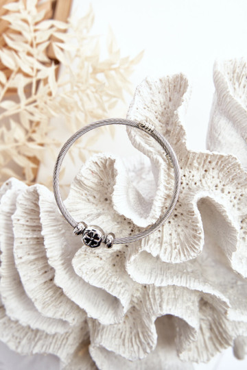 Moteriška plieno žavesio apyrankė su sidabriniais dobilais