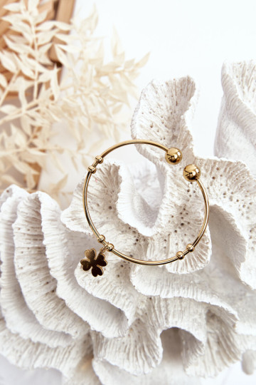 Moteriška užsegama plieno aukso dobilo apyrankė