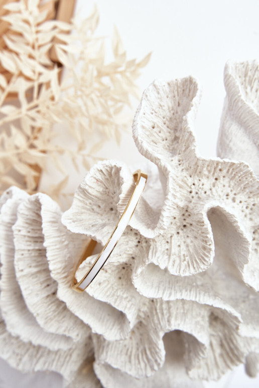 Moteriška plieninė apyrankė su užsegimu, auksinė ir balta