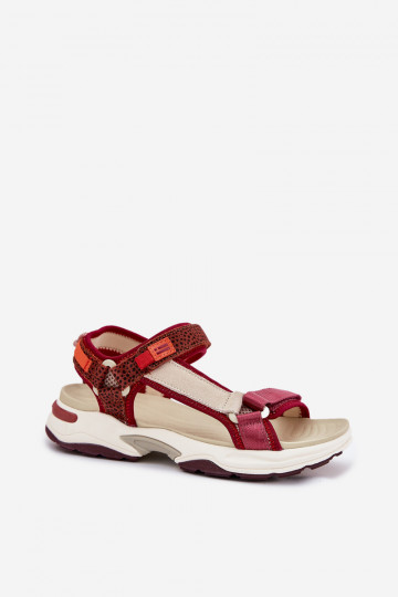 D.Franklin DFSH406003 bordo spalvos moteriškos basutės su lipdukais